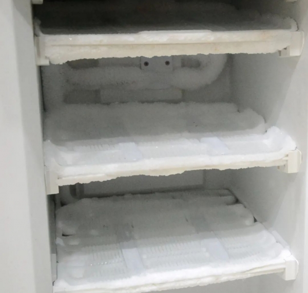 箱永不结冰关键每个月电费能省一大半！z6尊龙·中国网站只要放一样东西冰