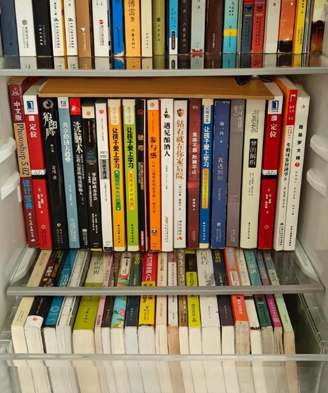 扔掉还浪费！不如留在家里妙用太多了z6尊龙网站废弃冰箱卖不了几个钱(图5)