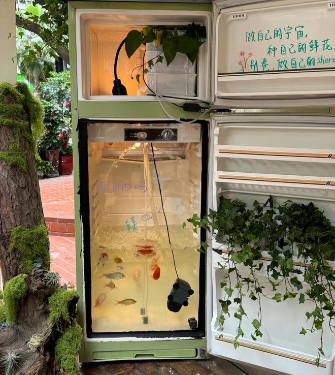 扔掉还浪费！不如留在家里妙用太多了z6尊龙网站废弃冰箱卖不了几个钱(图4)