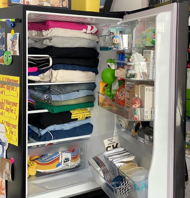 扔掉还浪费！不如留在家里妙用太多了z6尊龙网站废弃冰箱卖不了几个钱(图14)