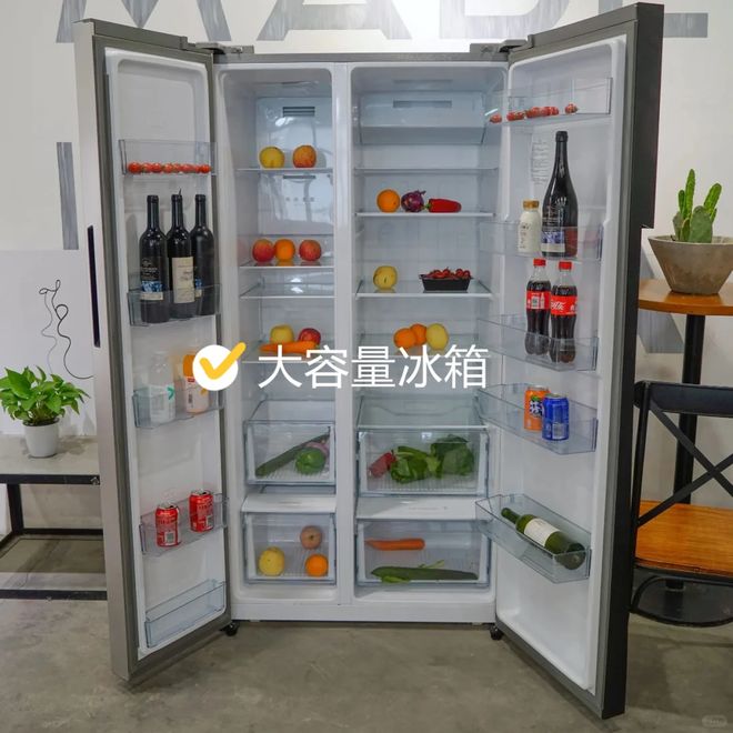 箱“淡出中国家庭”不过是时间早晚的问题尊龙AG人生就是博恕我直言:这7种冰(图5) 箱“淡出中国家庭”不过是时间早晚的问题尊龙AG人生就是博恕我直言:这7种冰(图5)