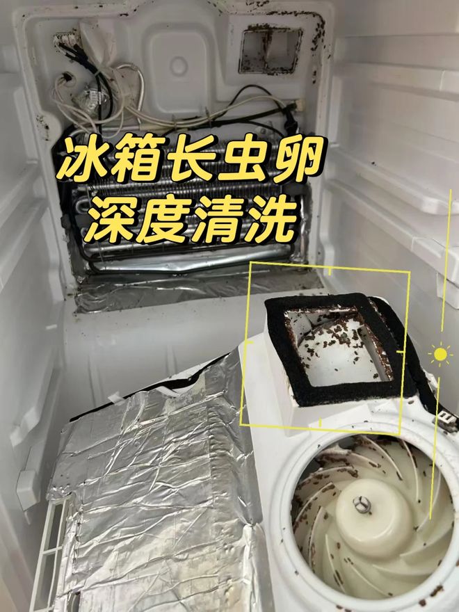 箱“淡出中国家庭”不过是时间早晚的问题尊龙AG人生就是博恕我直言:这7种冰(图4) 箱“淡出中国家庭”不过是时间早晚的问题尊龙AG人生就是博恕我直言:这7种冰(图4)