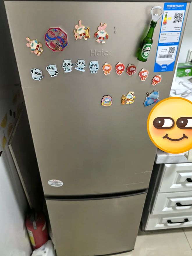 箱“淡出中国家庭”不过是时间早晚的问题尊龙AG人生就是博恕我直言:这7种冰(图9) 箱“淡出中国家庭”不过是时间早晚的问题尊龙AG人生就是博恕我直言:这7种冰(图9)