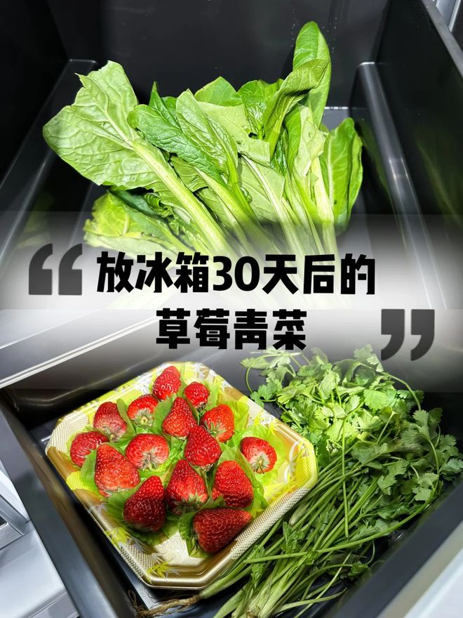 箱“淡出中国家庭”不过是时间早晚的问题尊龙AG人生就是博恕我直言:这7种冰(图14) 箱“淡出中国家庭”不过是时间早晚的问题尊龙AG人生就是博恕我直言:这7种冰(图14)