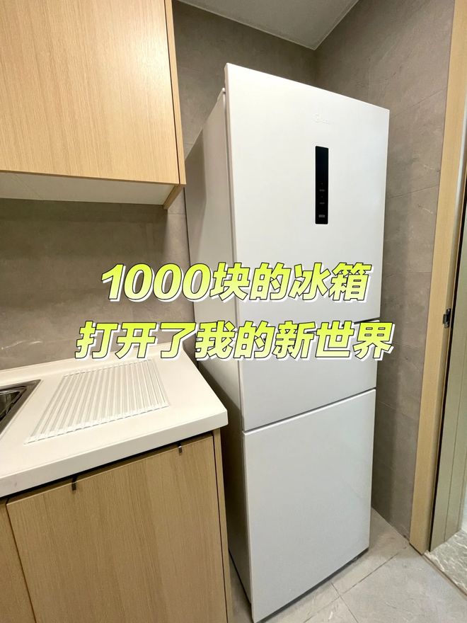 箱“淡出中国家庭”不过是时间早晚的问题尊龙AG人生就是博恕我直言:这7种冰(图17) 箱“淡出中国家庭”不过是时间早晚的问题尊龙AG人生就是博恕我直言:这7种冰(图17)